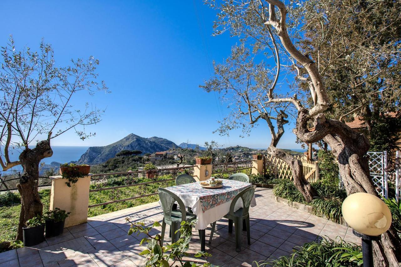 Il Pioppo - Country House Sea View Massa Lubrense Bagian luar foto