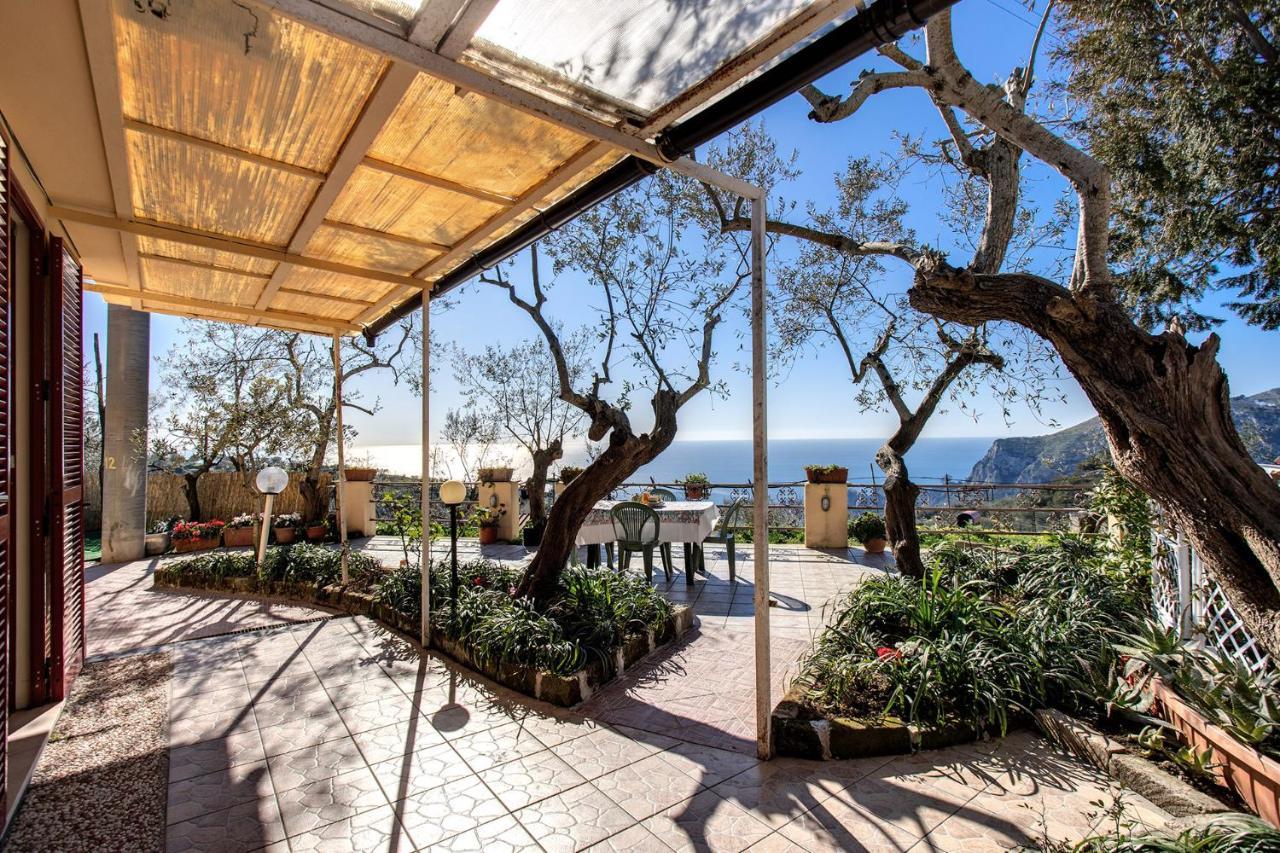 Il Pioppo - Country House Sea View Massa Lubrense Bagian luar foto