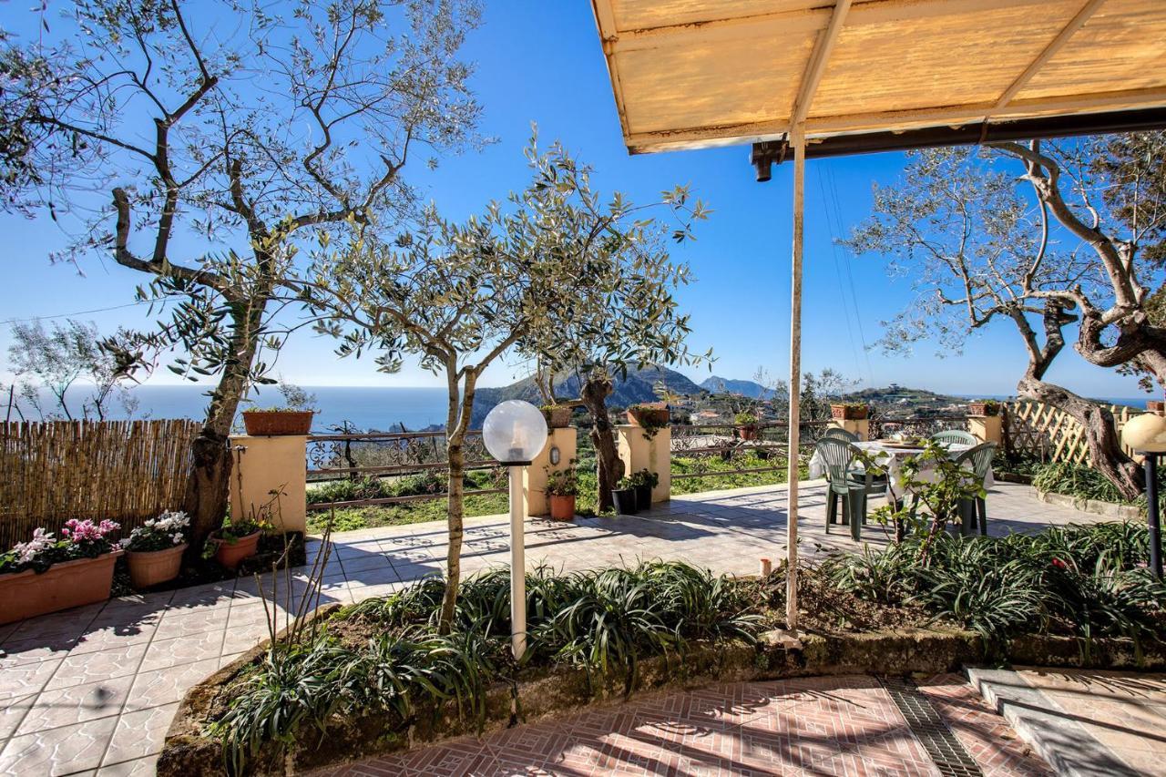 Il Pioppo - Country House Sea View Massa Lubrense Bagian luar foto