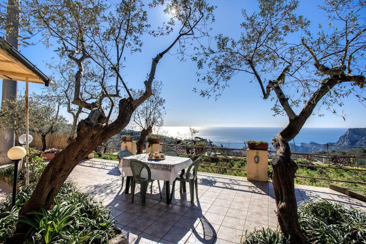 Il Pioppo - Country House Sea View Massa Lubrense Bagian luar foto